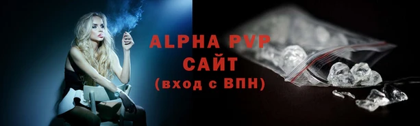 амф Аркадак