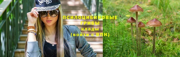 амф Аркадак