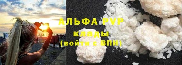 амф Аркадак