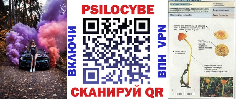 Псилоцибиновые грибы GOLDEN TEACHER  как найти   KRAKEN как зайти  маркетплейс телеграм  Краснослободск 